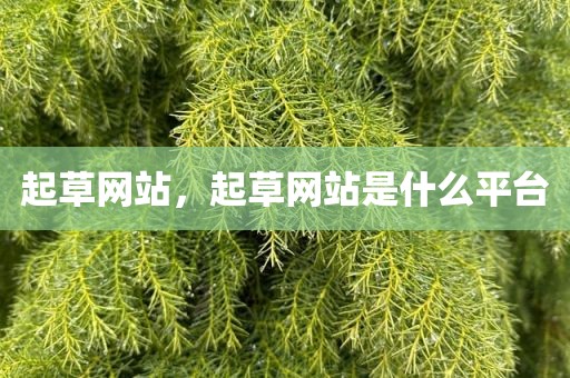 起草网站，起草网站是什么平台