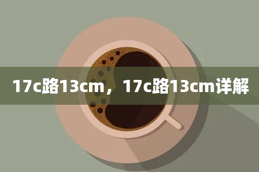 17c路13cm，17c路13cm详解