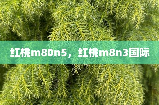 红桃m80n5，红桃m8n3国际