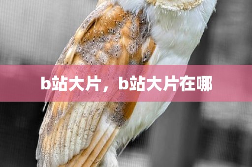 b站大片，b站大片在哪