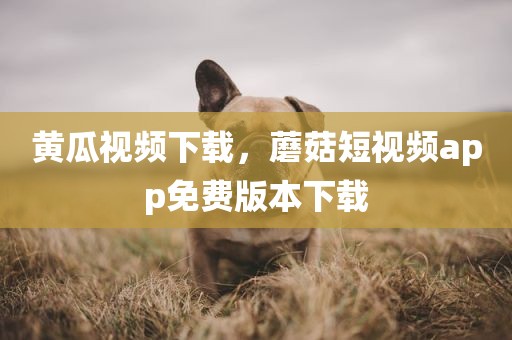 黄瓜视频下载，蘑菇短视频app免费版本下载
