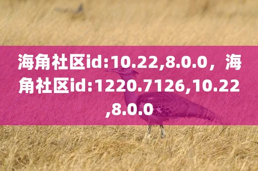 海角社区id:10.22,8.0.0，海角社区id:1220.7126,10.22,8.0.0