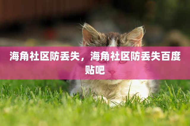 海角社区防丢失，海角社区防丢失百度贴吧