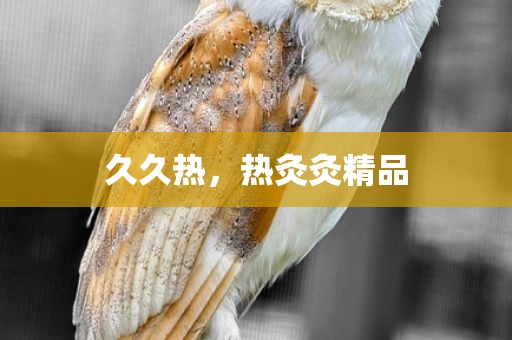 久久热，热灸灸精品