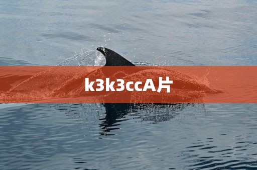 k3k3ccA片