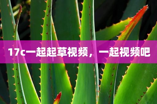 17c一起起草视频，一起视频吧