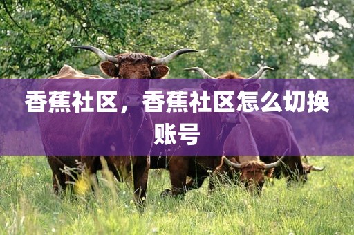 香蕉社区，香蕉社区怎么切换账号