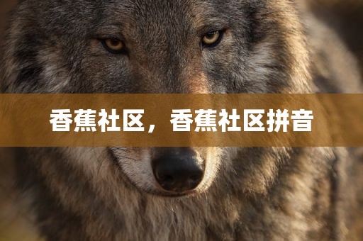 香蕉社区，香蕉社区拼音