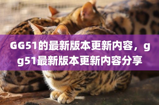 GG51的最新版本更新内容，gg51最新版本更新内容分享