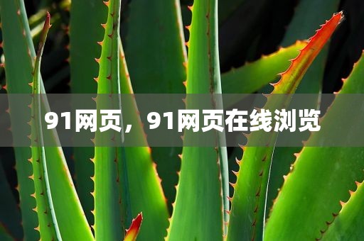 91网页，91网页在线浏览