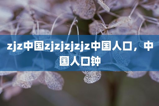 zjz中国zjzjzjzjz中国人口，中国人口钟