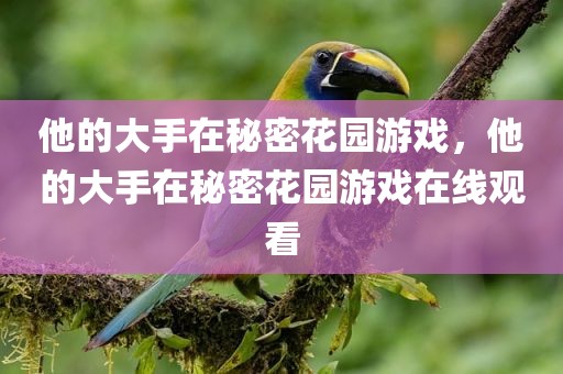 他的大手在秘密花园游戏，他的大手在秘密花园游戏在线观看