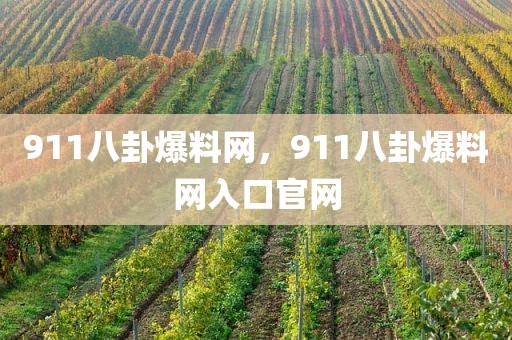 911八卦爆料网，911八卦爆料网入口官网