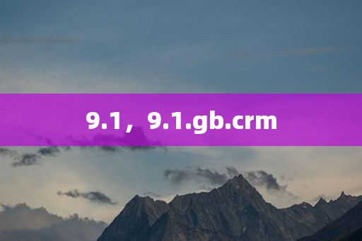 9.1，9.1.gb.crm