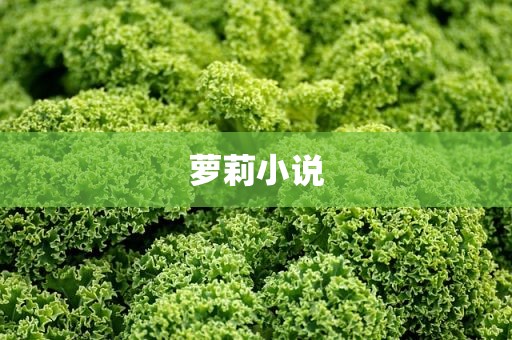 萝莉小说