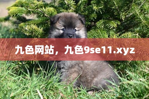 九色网站，九色9se11.xyz
