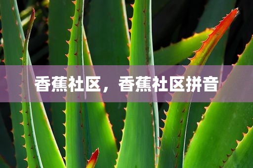 香蕉社区，香蕉社区拼音