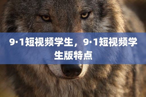 9·1短视频学生，9·1短视频学生版特点