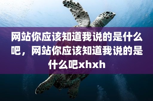 网站你应该知道我说的是什么吧，网站你应该知道我说的是什么吧xhxh