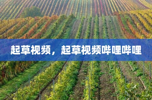 起草视频，起草视频哔哩哔哩