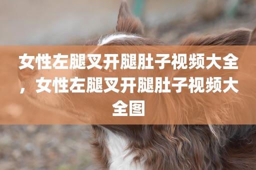 女性左腿叉开腿肚子视频大全，女性左腿叉开腿肚子视频大全图