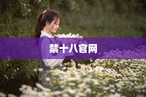 禁十八官网