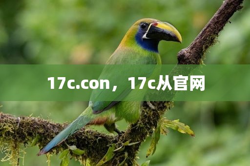 17c.con，17c从官网
