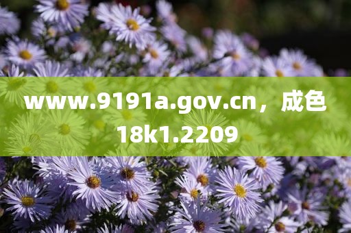 www.9191a.gov.cn，成色18k1.2209