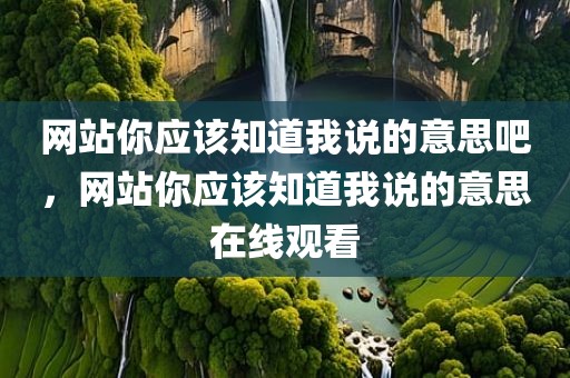 网站你应该知道我说的意思吧，网站你应该知道我说的意思在线观看