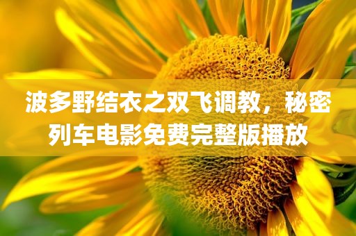 波多野结衣之双飞调教，秘密列车电影免费完整版播放