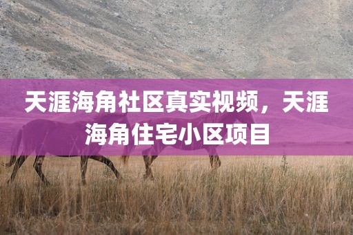 天涯海角社区真实视频，天涯海角住宅小区项目