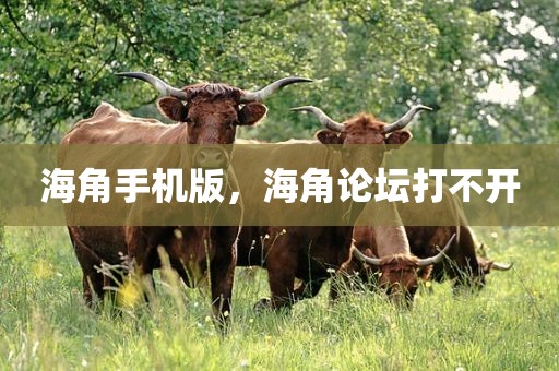 海角手机版，海角论坛打不开