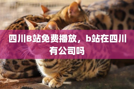 四川B站免费播放，b站在四川有公司吗