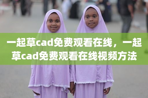 一起草cad免费观看在线，一起草cad免费观看在线视频方法