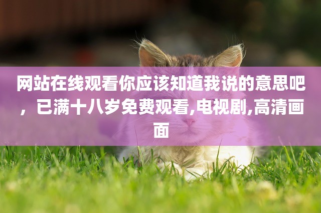 网站在线观看你应该知道我说的意思吧，已满十八岁免费观看,电视剧,高清画面