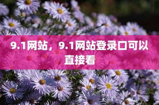 9.1网站，9.1网站登录口可以直接看