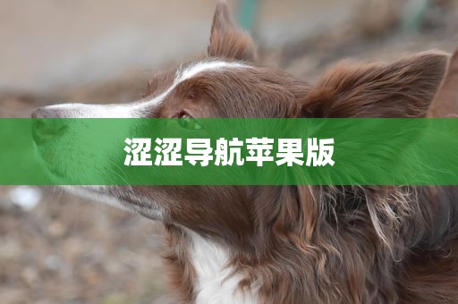涩涩导航苹果版