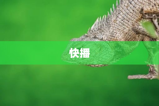 快播