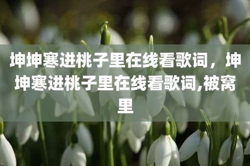 坤坤寒进桃子里在线看歌词，坤坤寒进桃子里在线看歌词,被窝里