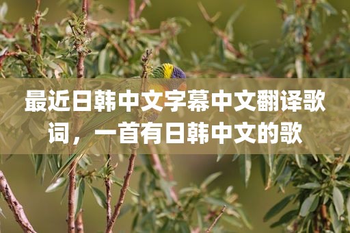 最近日韩中文字幕中文翻译歌词，一首有日韩中文的歌
