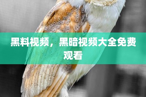 黑料视频，黑暗视频大全免费观看