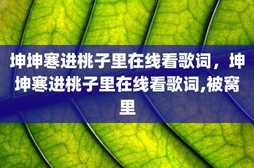 坤坤寒进桃子里在线看歌词，坤坤寒进桃子里在线看歌词,被窝里