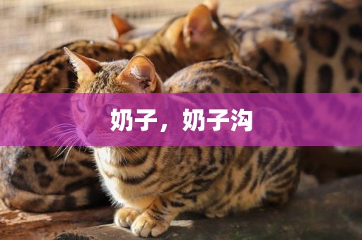 奶子，奶子沟
