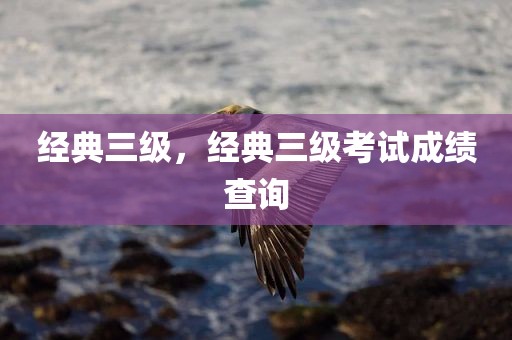 经典三级，经典三级考试成绩查询