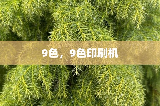 9色，9色印刷机