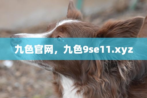 九色官网，九色9se11.xyz