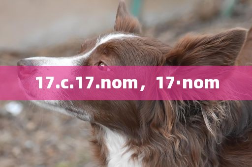 17.c.17.nom，17·nom