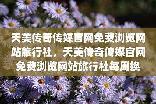 天美传奇传媒官网免费浏览网站旅行社，天美传奇传媒官网免费浏览网站旅行社每周换