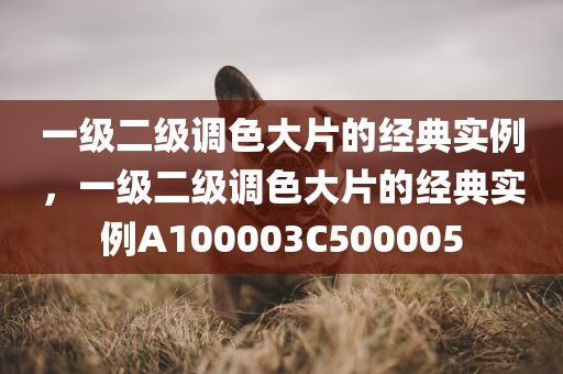 一级二级调色大片的经典实例，一级二级调色大片的经典实例A100003C500005