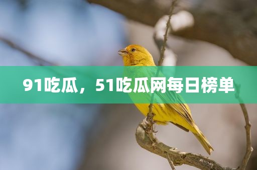 91吃瓜，51吃瓜网每日榜单